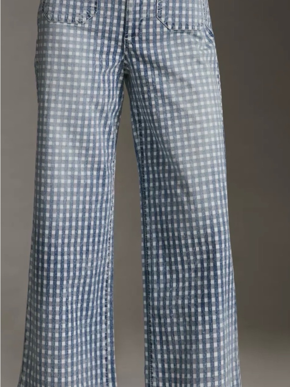 Anthropologie Pilcro The Skipper Gingham Pants - size 24 PETITE - Picture 2 of 6